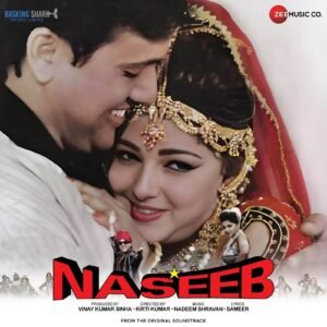 Naseeb, Nadeem Shravan, Sameer, Vinyl Record, Lp
