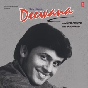 Deewana, Sonu Nigam, Vinyl Record