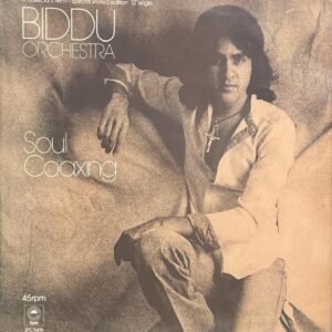 Soul Coaxing, Biddu Orchestra, Vinyl Record, Lp